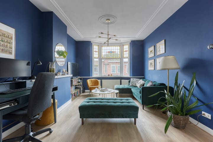 Foto 2 van Theresiastraat 349