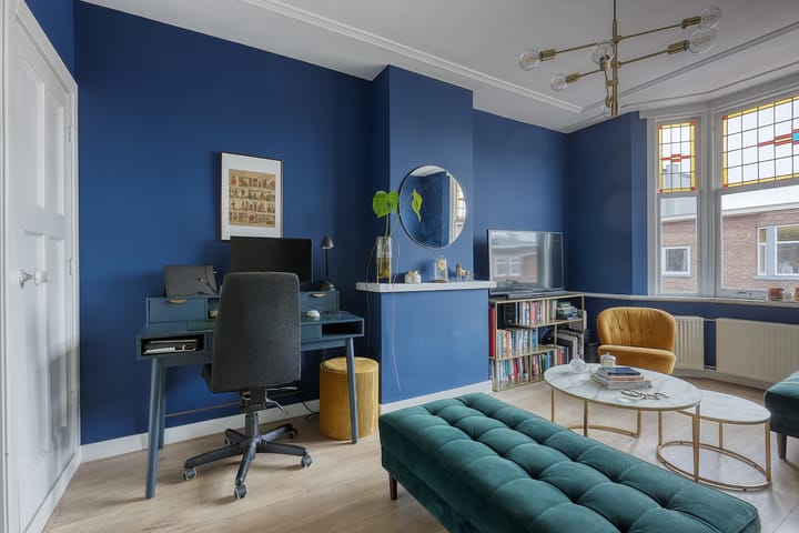 Foto 3 van Theresiastraat 349