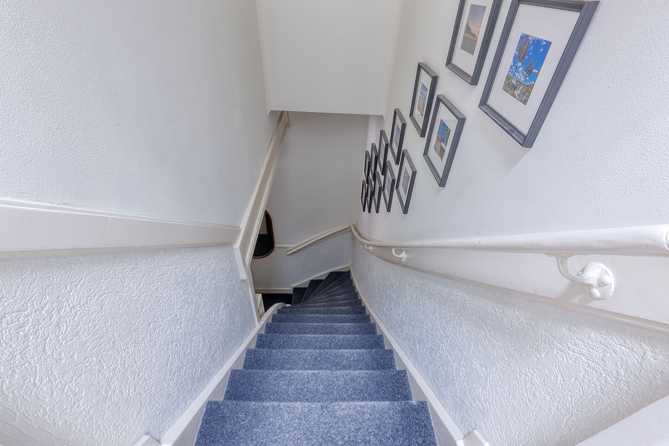 Foto 21 van Theresiastraat 349