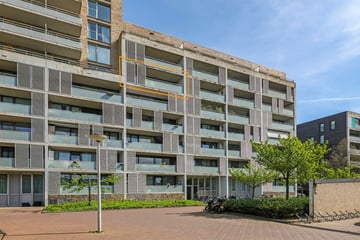 Wijnand Nuijenstraat thumbnail
