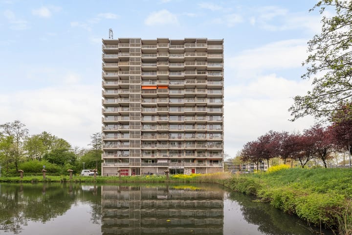 Foto 1 van Octant 31