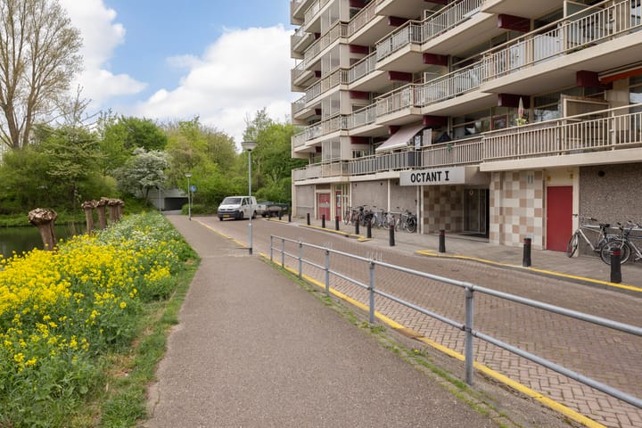 Foto 20 van Octant 31