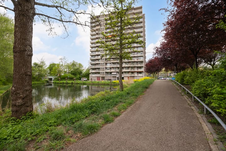 Foto 23 van Octant 31