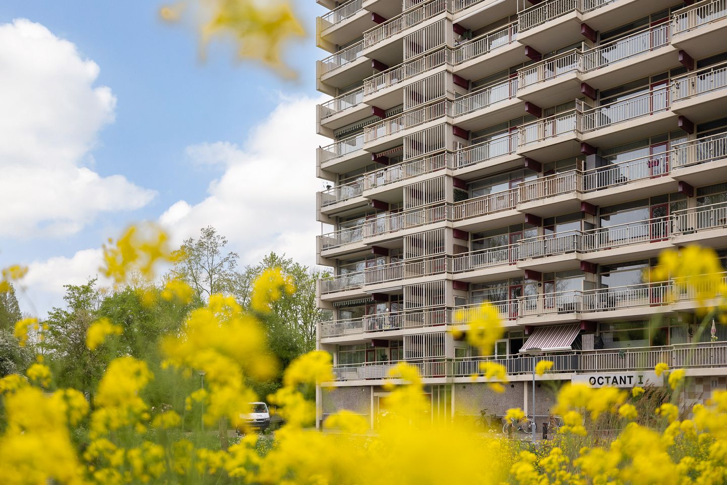 Foto 25 van Octant 31