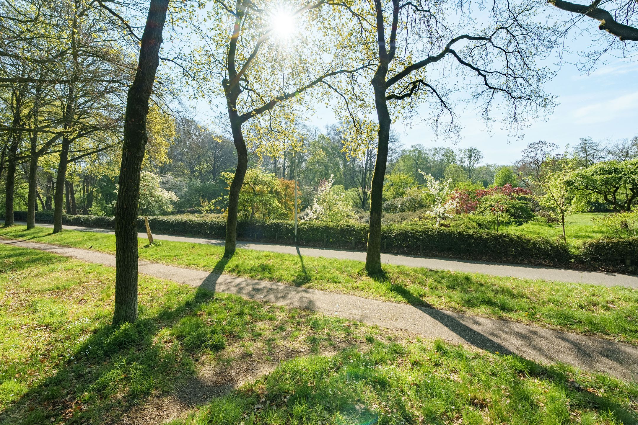 Foto 48 van Generaal Foulkesweg 111