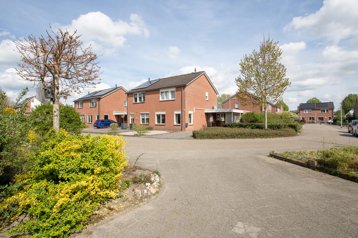 Foto 24 van Telgen 11