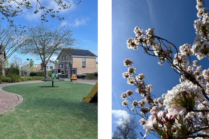 Foto 27 van Frans Halslaan 51