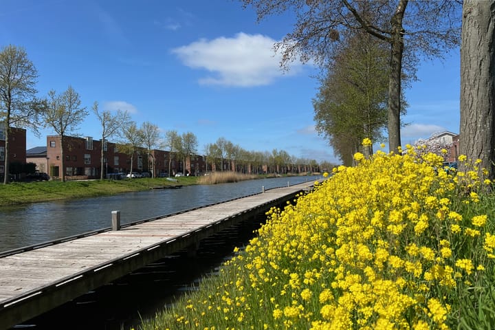 Foto 30 van Frans Halslaan 51