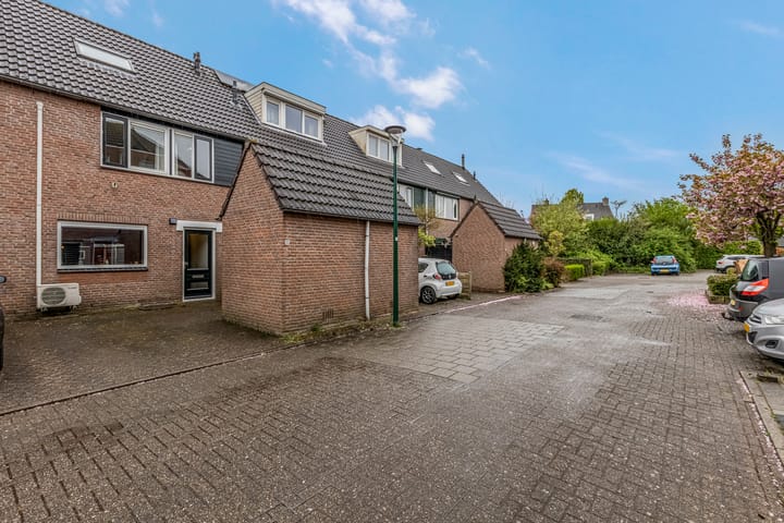 Foto 45 van Jasmijn 55