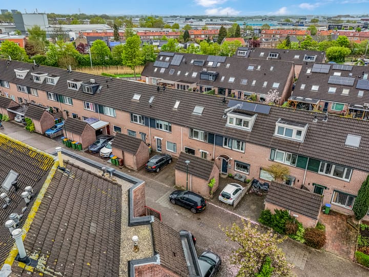 Foto 46 van Jasmijn 55