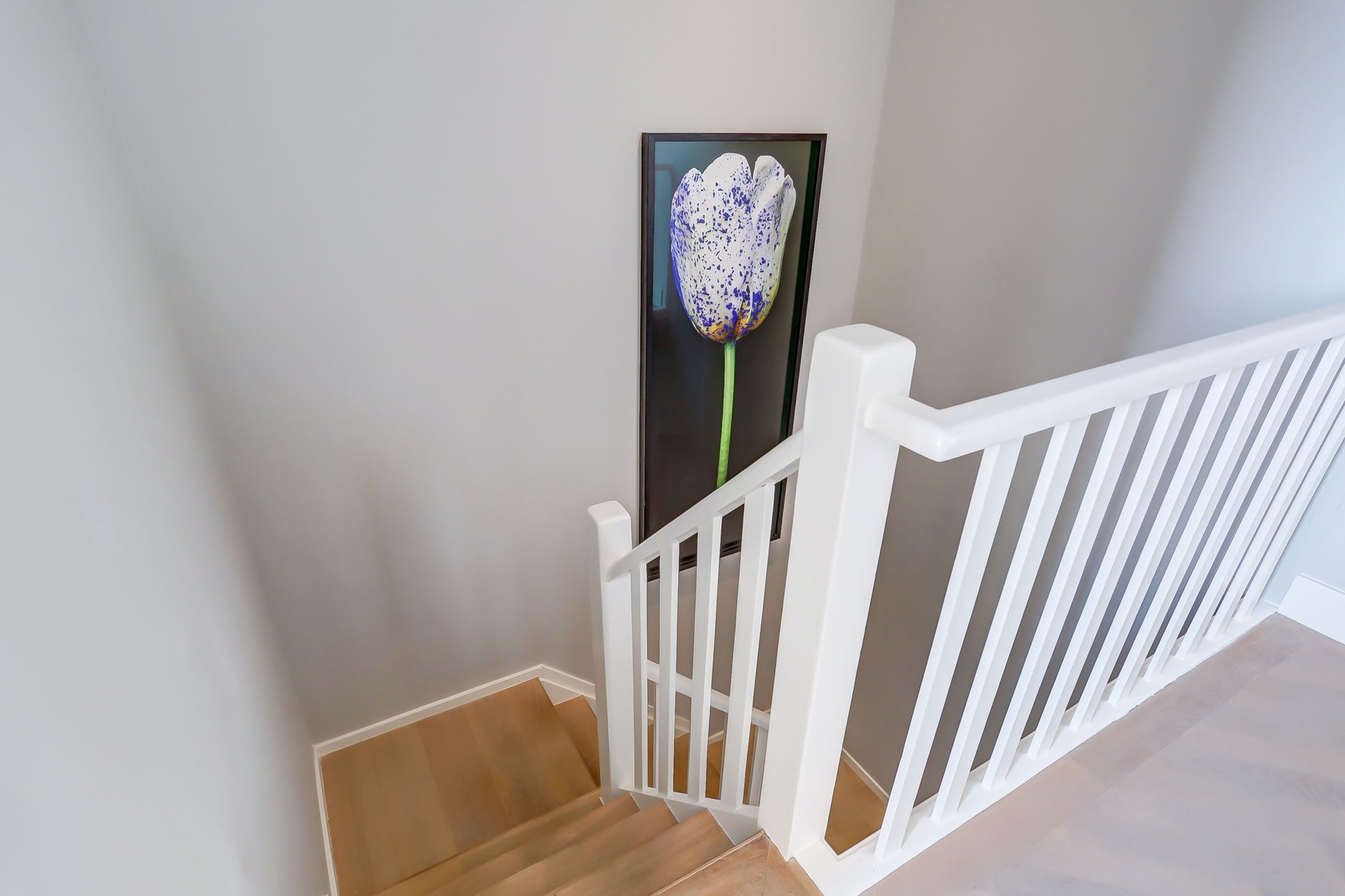 Foto 30 van Theresiastraat 105-B