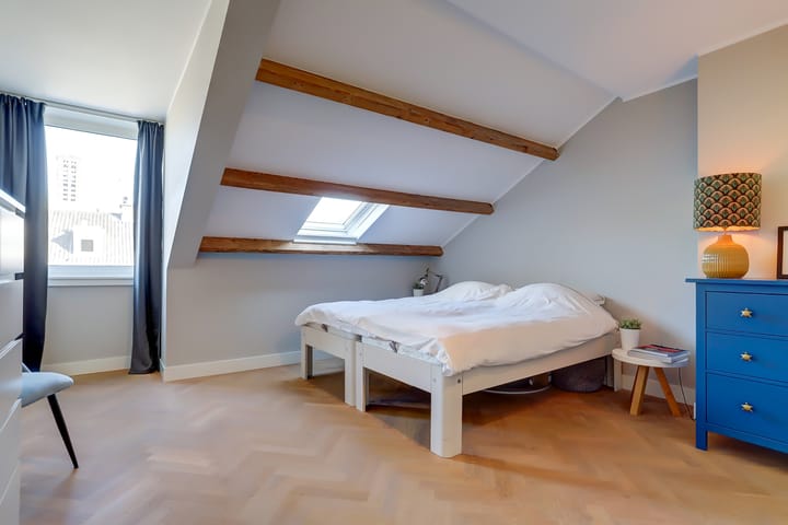 Foto 35 van Theresiastraat 105-B