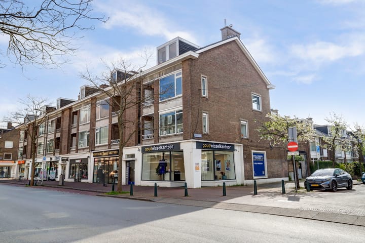 Foto 50 van Theresiastraat 105-B