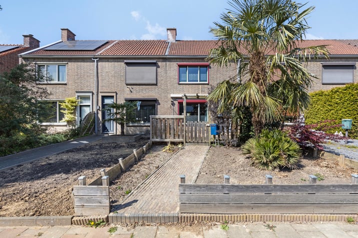 undefined main image