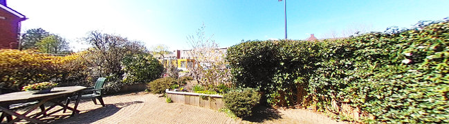 Achtertuin