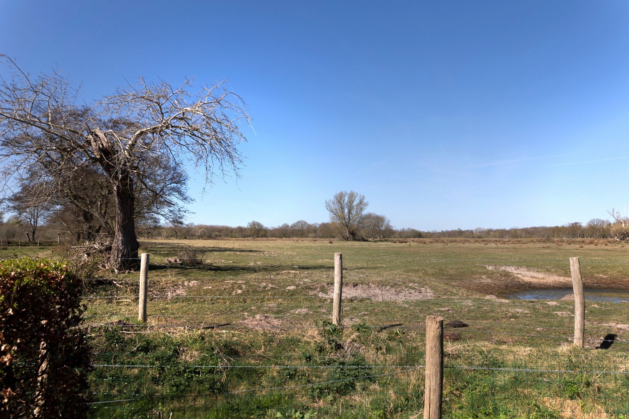 Foto 12 van Hogezoom 67-A