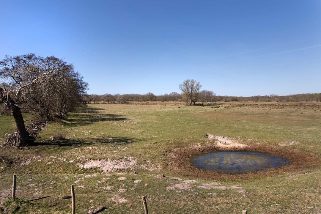 Foto 13 van Hogezoom 67-A