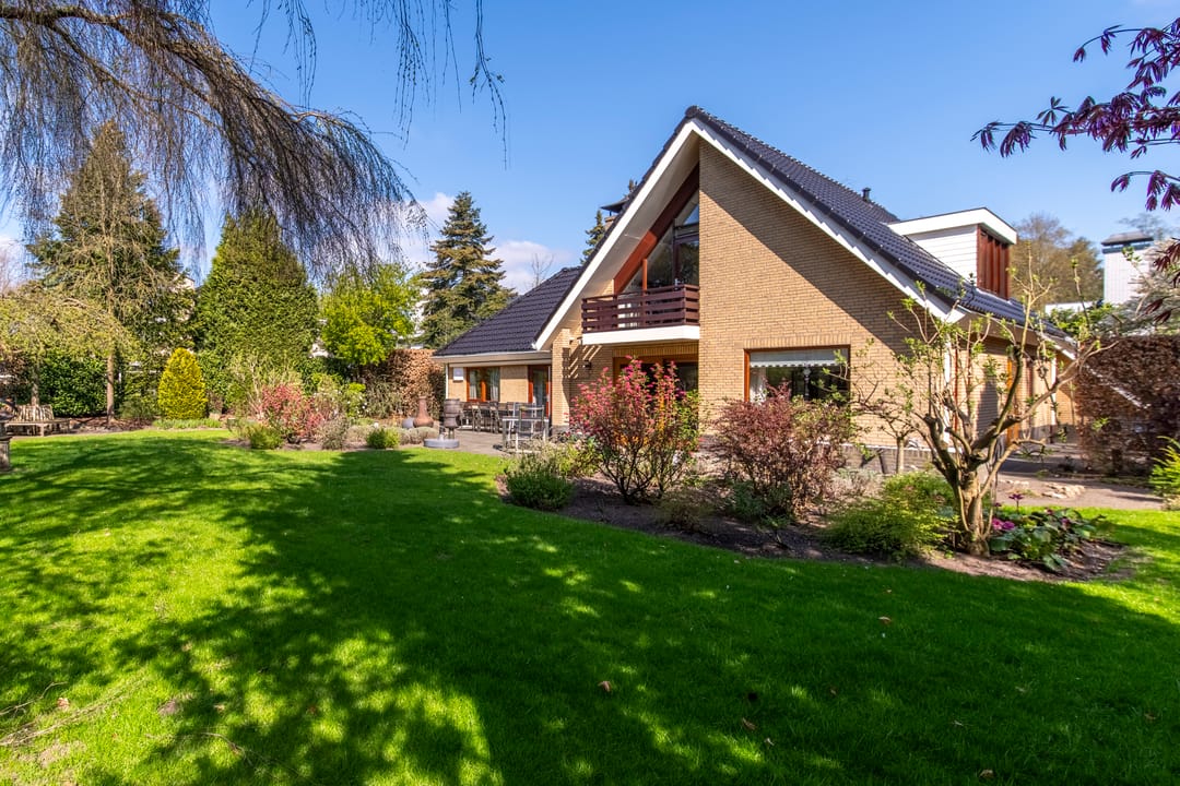 Foto 1 van Zilvermos 1