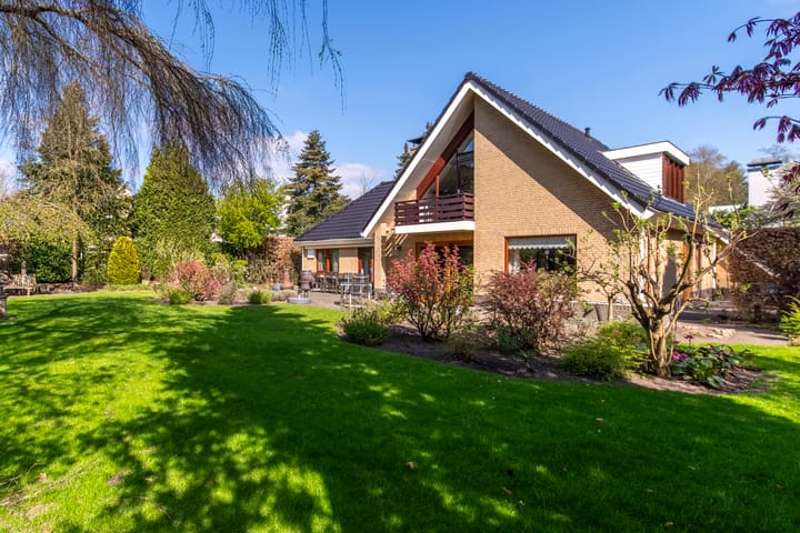 Foto 1 van Zilvermos 1