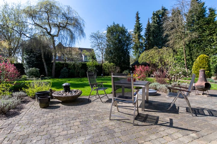 Foto 5 van Zilvermos 1