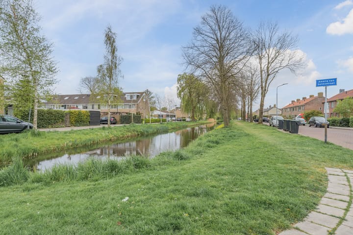 Photo 46 of Amalia van Solmsstraat 43