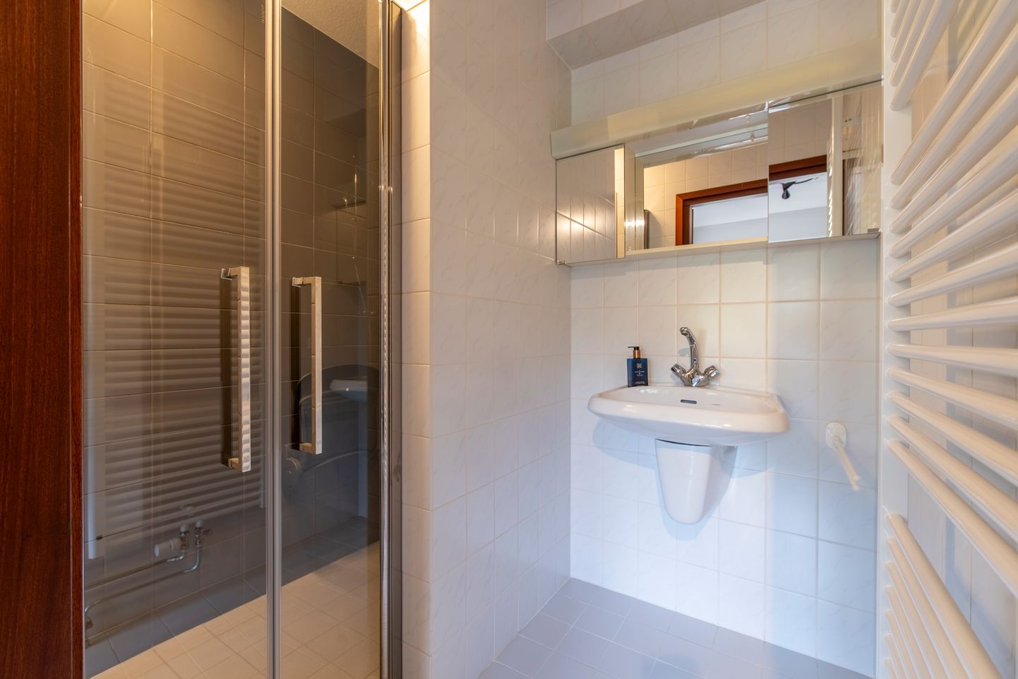 Foto 20 van Zilvermos 1