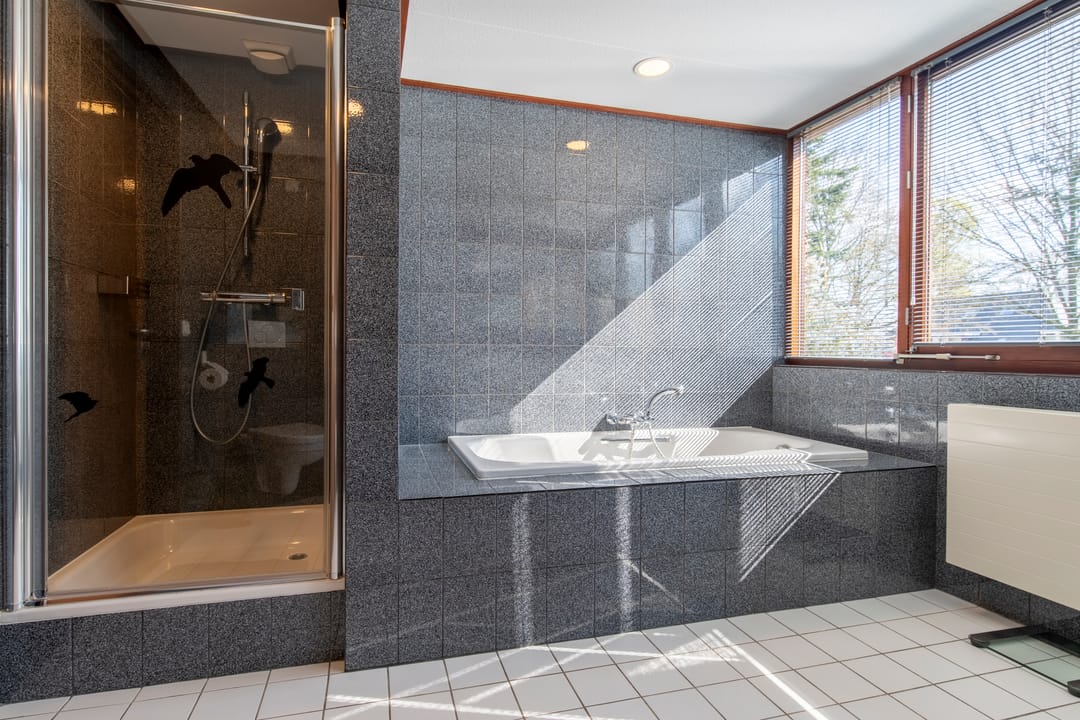 Foto 32 van Zilvermos 1