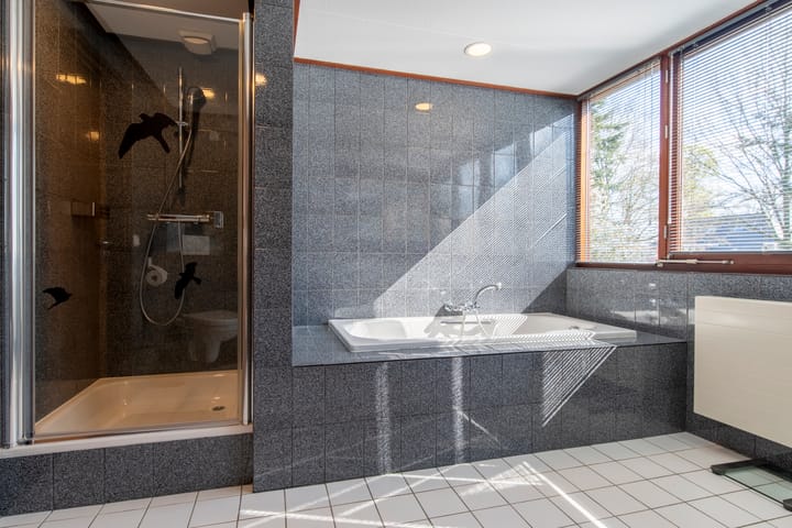 Foto 32 van Zilvermos 1