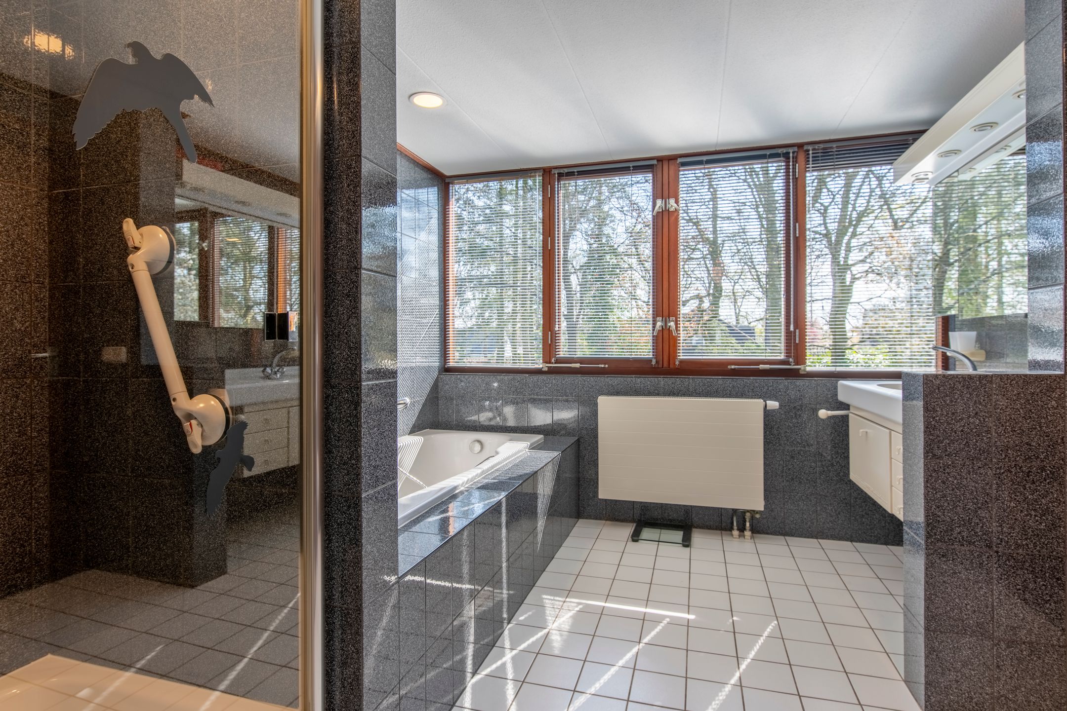 Foto 33 van Zilvermos 1