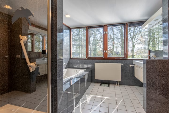 Foto 33 van Zilvermos 1