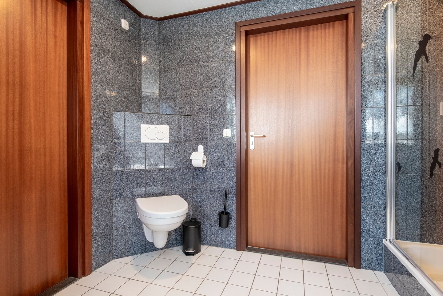 Foto 34 van Zilvermos 1