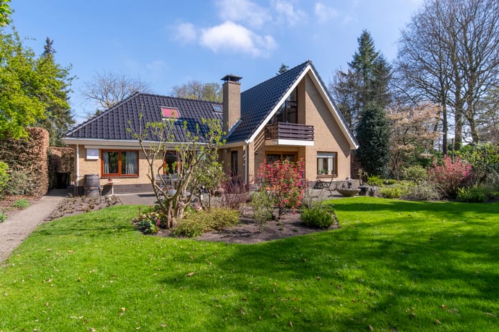 Foto 35 van Zilvermos 1