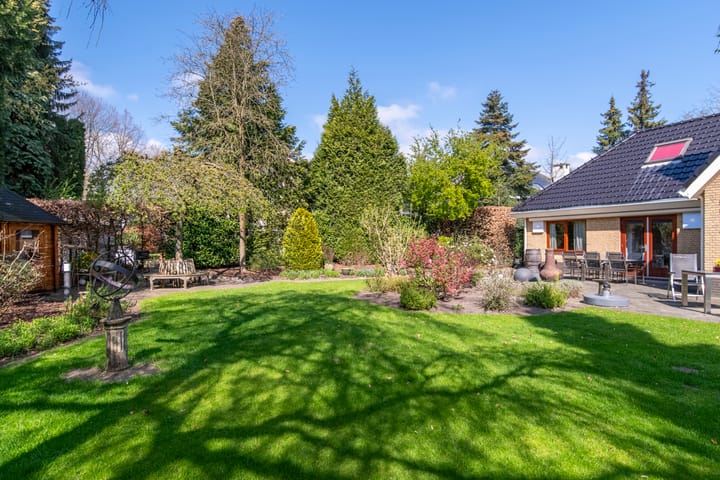 Foto 38 van Zilvermos 1