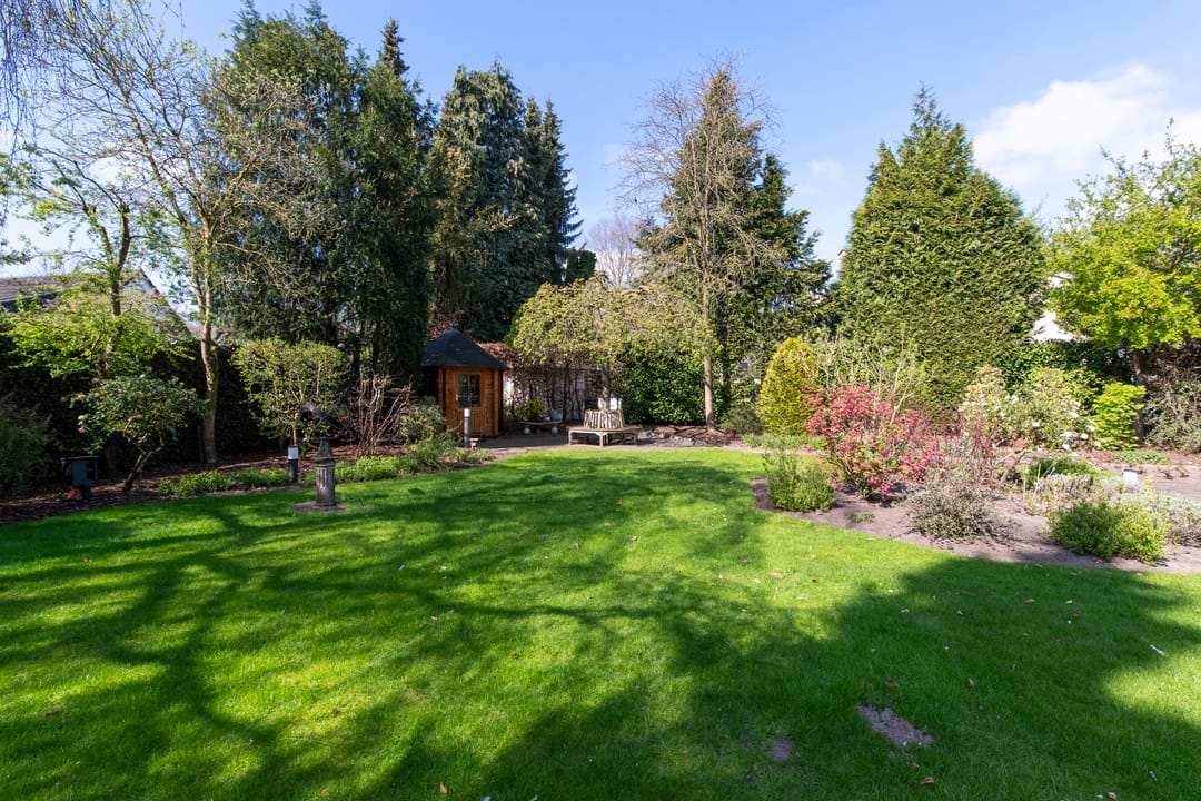 Foto 41 van Zilvermos 1