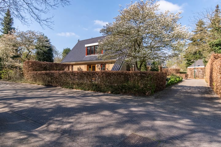 Foto 43 van Zilvermos 1