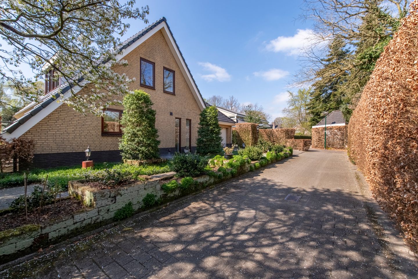 Foto 44 van Zilvermos 1