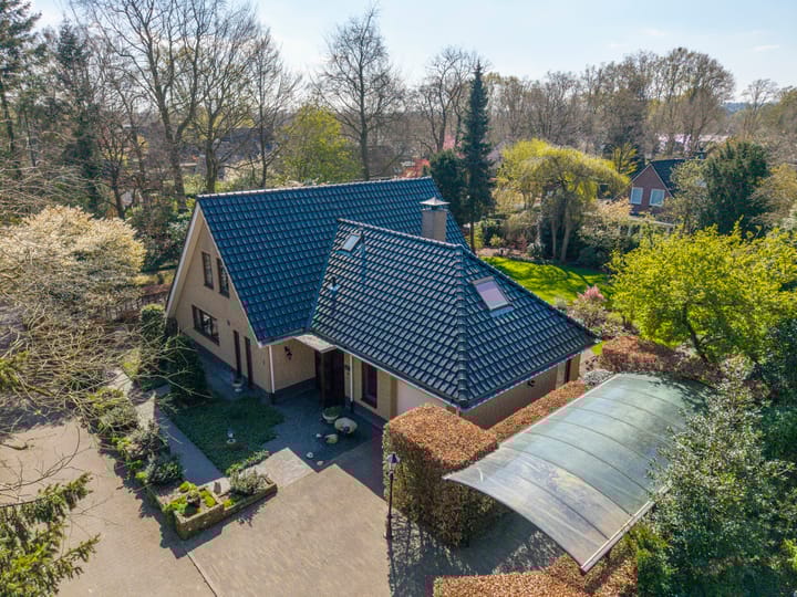 Foto 48 van Zilvermos 1