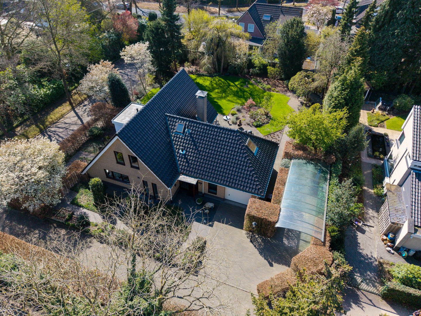 Foto 49 van Zilvermos 1