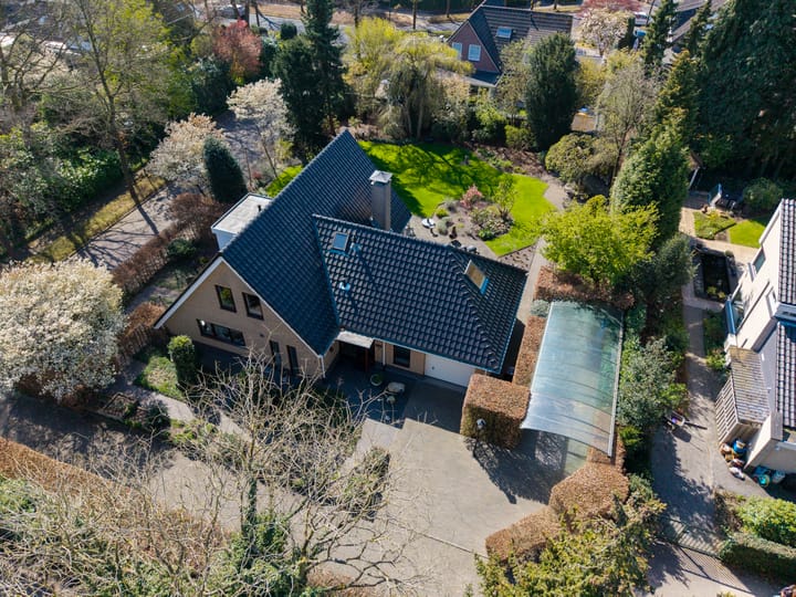 Foto 49 van Zilvermos 1