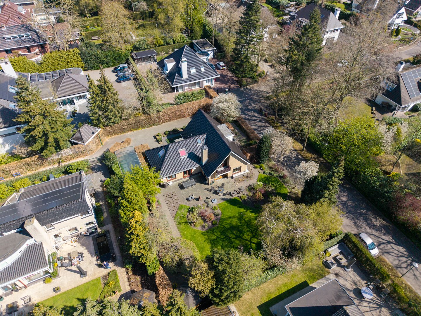 Foto 50 van Zilvermos 1