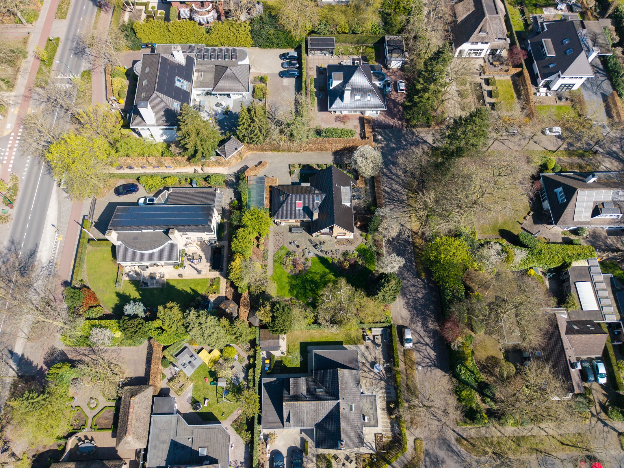 Foto 51 van Zilvermos 1