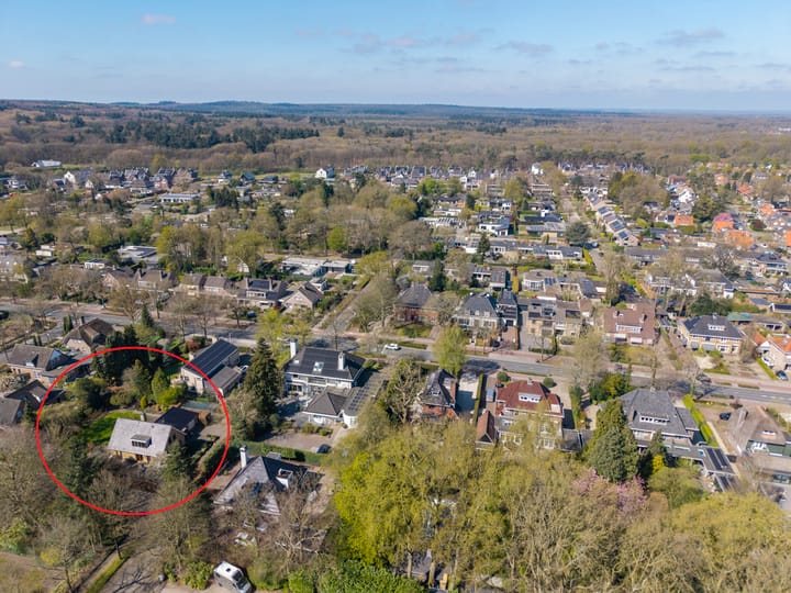 Foto 53 van Zilvermos 1