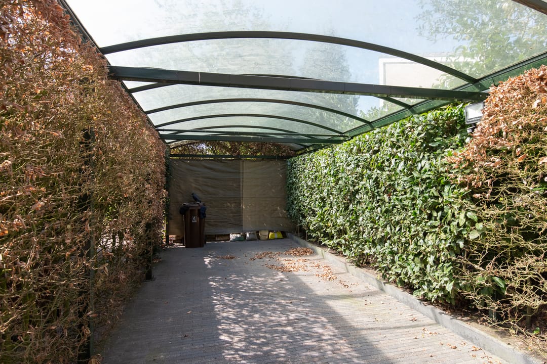 Foto 47 van Zilvermos 1