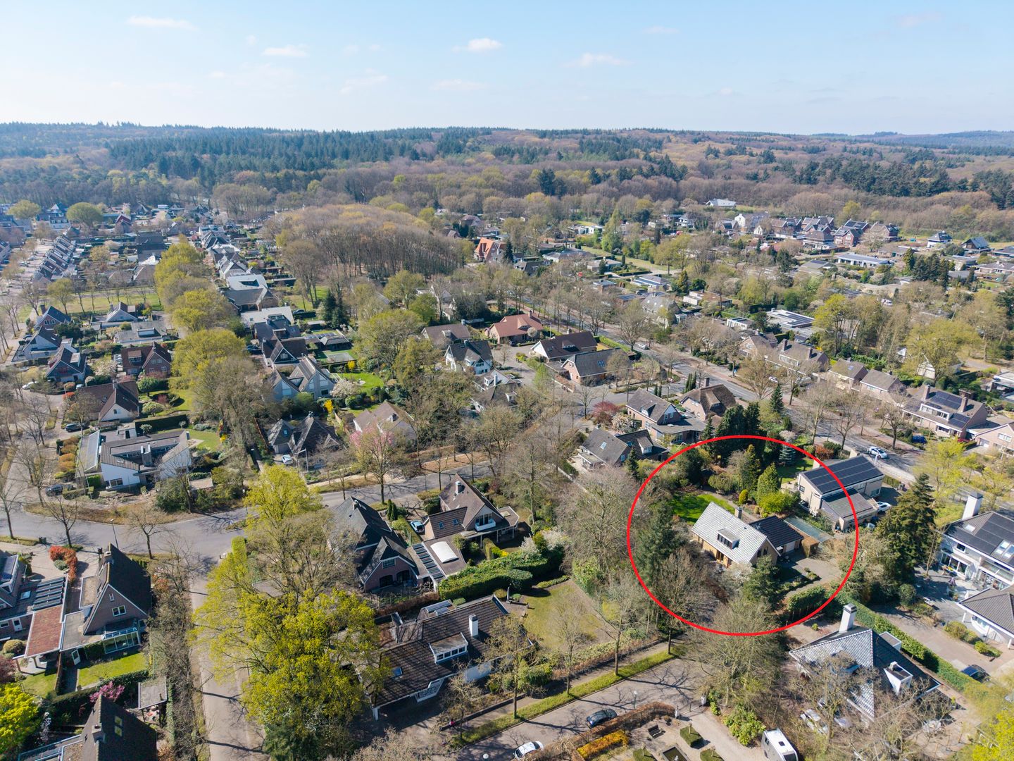 Foto 55 van Zilvermos 1