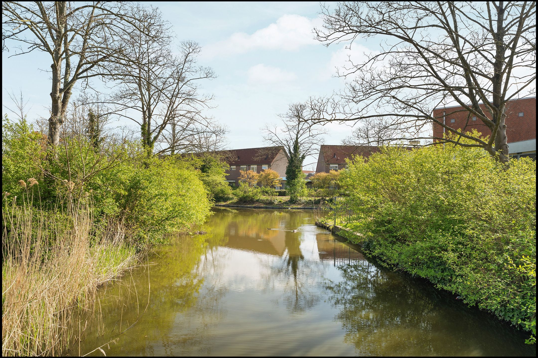 Foto 36 van Zeisstraat 37