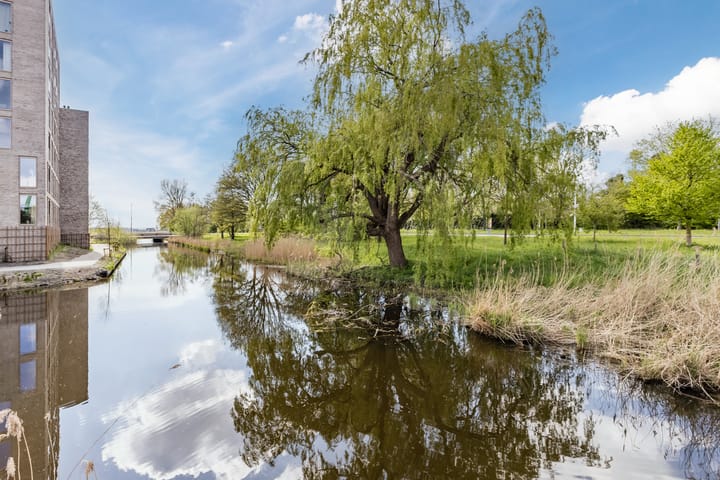 Foto 51 van Picassolaan 995