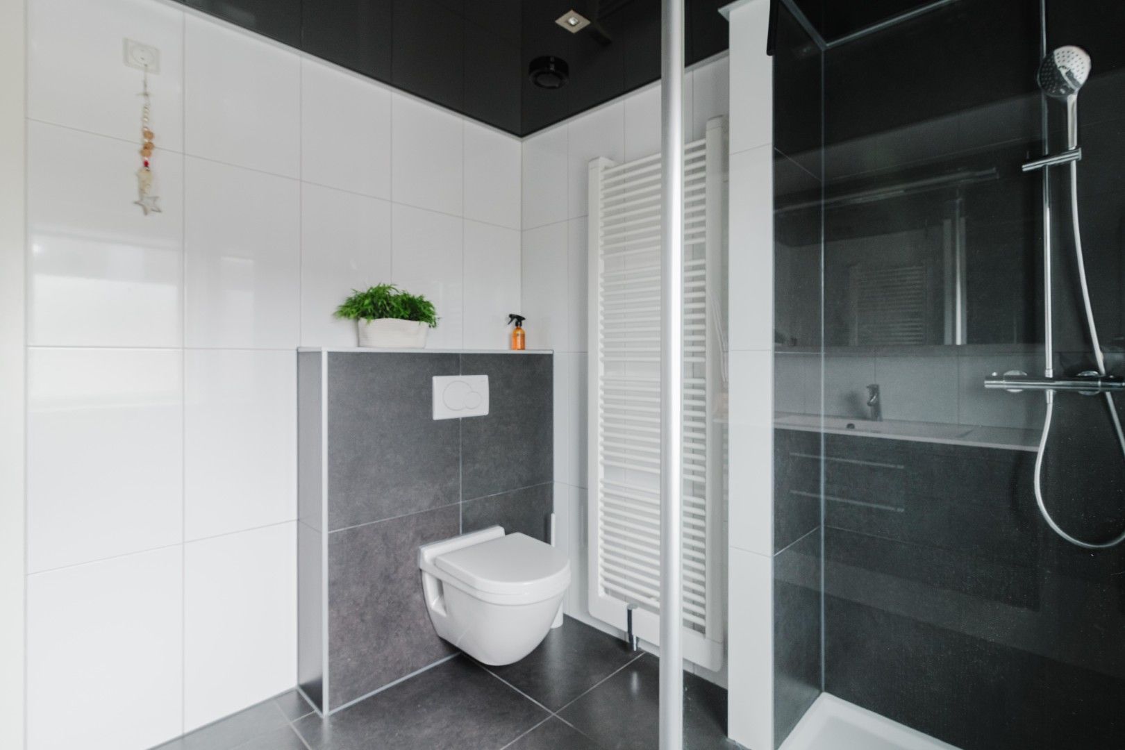 Foto 30 van Lijsterbes 7