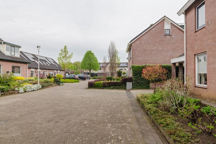 Foto 47 van Lijsterbes 7