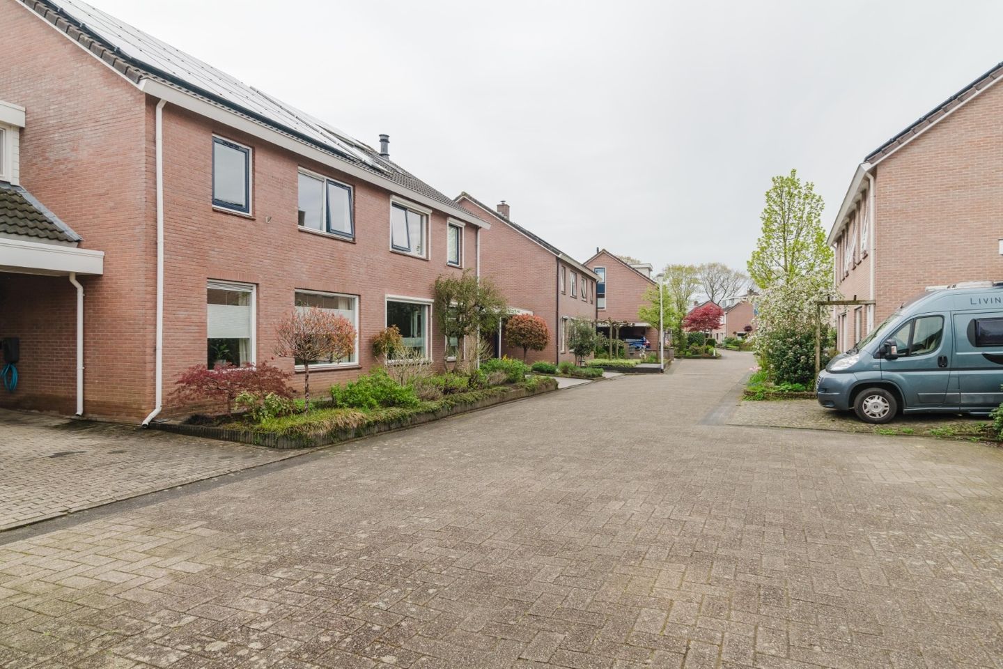 Foto 50 van Lijsterbes 7