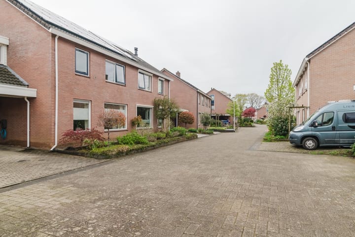 Foto 50 van Lijsterbes 7